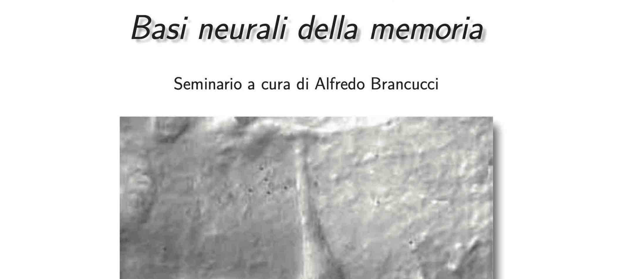 Basi neurali della memoria
